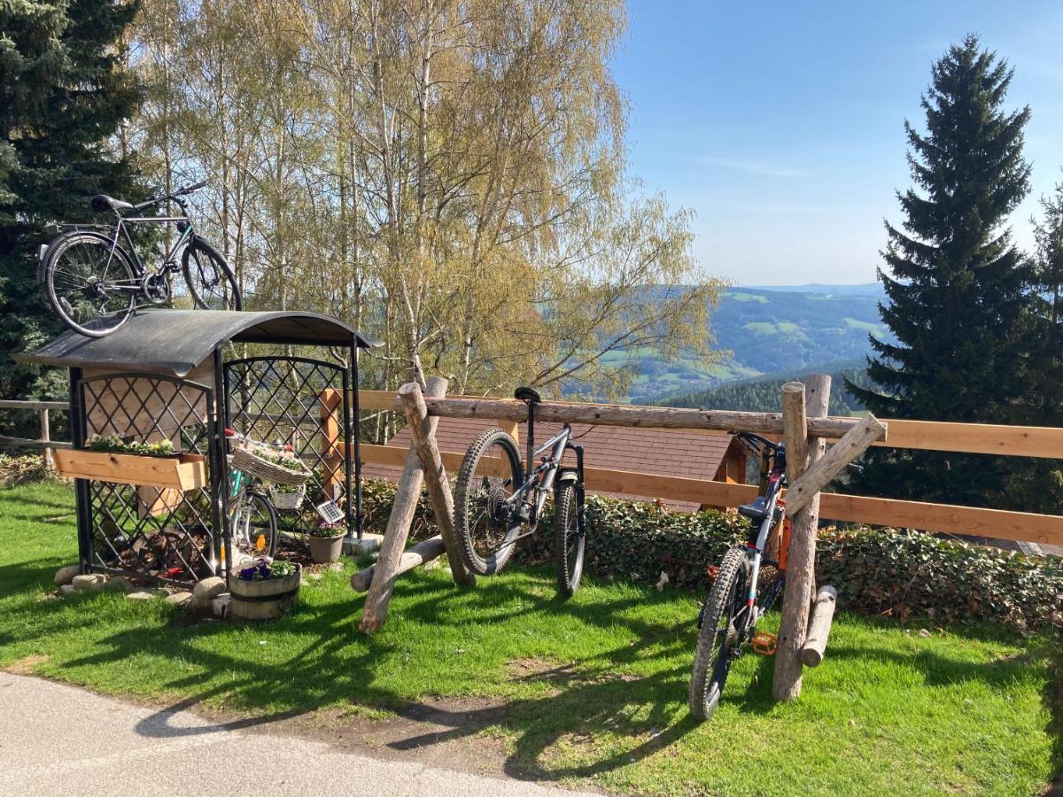 Weixl Schi&Bike Appartements-Bike In&Bike Out Neben Wexl Trails Bikepark St. Corona am Wechsel Exterior foto